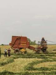 RONG Zhaonan NING Yu