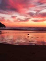 Reborn in the Apocal