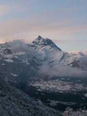 Rong Zhao Nanning Yu