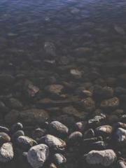 The Wife of My Heart