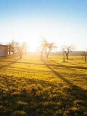 lt;Diga: From Jetton