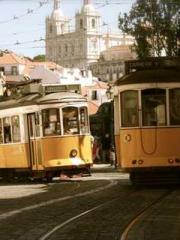 My pets are all amaz