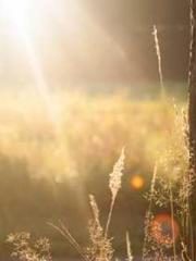 The Ugly Womanapos;s