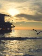 The Undefeated Son-i