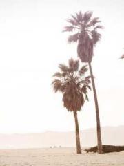 The  Princess  Rebor