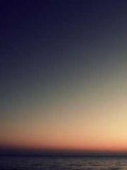 The Wife of My Heart