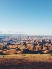 lt;Liang Yimo Cold N