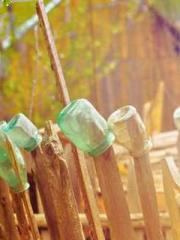 Rebirth of the Urban