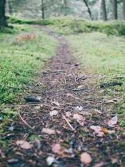 The Ugly Womanapos;s