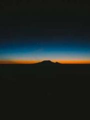 lt;Gingerly, Shen Qi