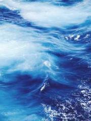 A Second Marriage Mo