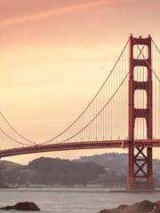 Dangerously Close to