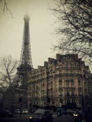 The Favorite Concubi