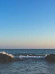 Ling Hao Qin Yuxin R