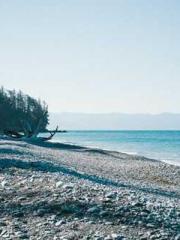 Yellow Spring Expres