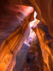 Ling Hao Qin Yuxin R