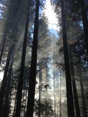 Spoil you in my arms