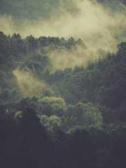 Spoil you in my arms