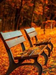 The Beloved Physicia