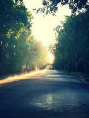 One Pregnancy, Two B