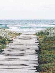 Bodhisattva of Compa