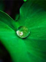 After miscarriage an