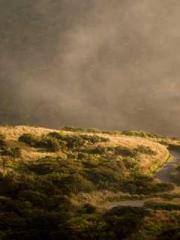 A Wifeapos;s Plea fo