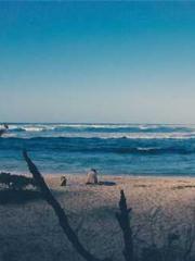 I Picked Up a Cultiv