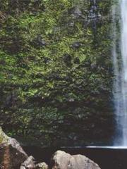 lt;Honor calls for N