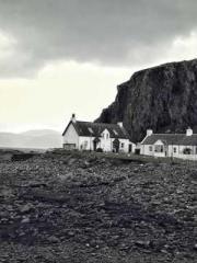 One Night Marriage P