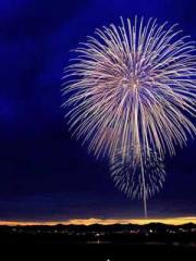 I have seven fairy g