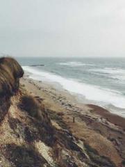 Awakening of the Mas