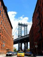 Cultivating My Empre