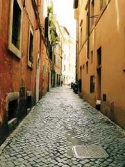 Double Blessing: CEO