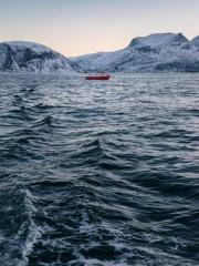 King of the Nine Pro