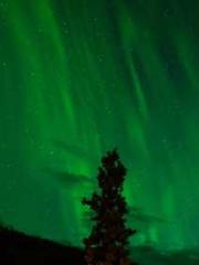 Reborn in 1989: Crea