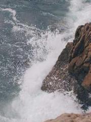 One Night Marriage P