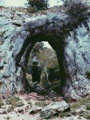 Professor Yan is goi