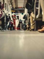 The Stand-in Wife Wa