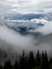 I have seven fairy g