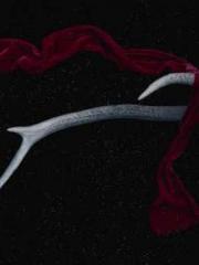 King of the Nine Pro