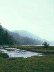 Love and him lt;lt;l