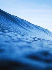 The Ugly Womanapos;s