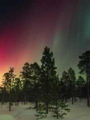 A Wifeapos;s Plea fo