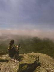 lt;Marry at first si