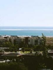 The Wife of My Heart