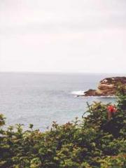 A Heavenly Gift: The