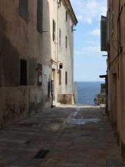 lt;Natural Disasters