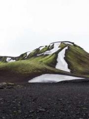 The Imperial Concubi