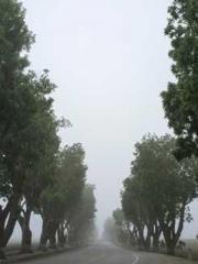 The Rough Man Hunter